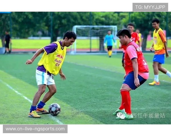 上海乒乓球队耐力训练引发热议专家与球迷各执己见探讨争议原因