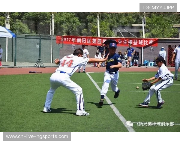 重庆羽毛球队的奋斗与荣耀：一段不平凡的突破之路纪实